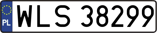 WLS38299