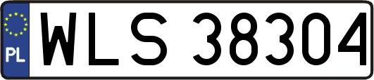 WLS38304