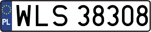 WLS38308