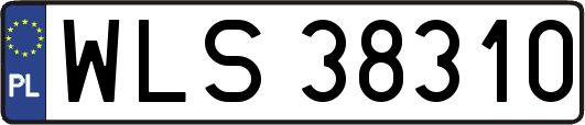 WLS38310