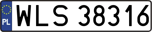 WLS38316