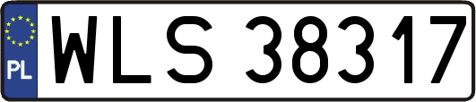 WLS38317