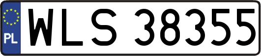 WLS38355