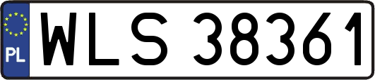 WLS38361