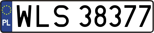 WLS38377