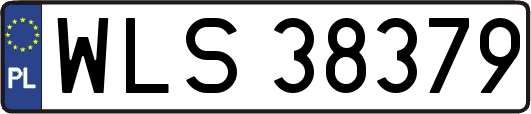 WLS38379