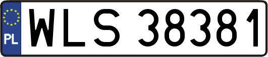 WLS38381