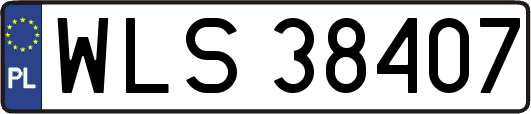WLS38407