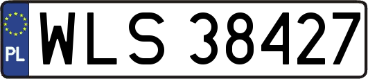 WLS38427