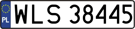 WLS38445