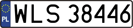 WLS38446