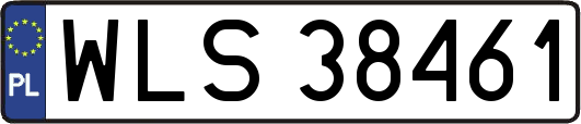 WLS38461