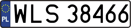 WLS38466