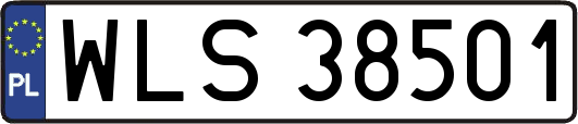 WLS38501