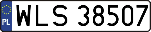WLS38507