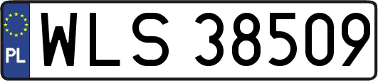 WLS38509
