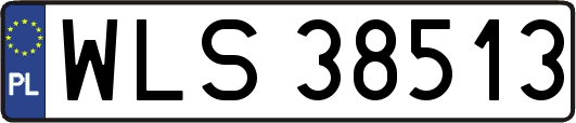 WLS38513