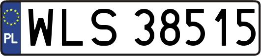 WLS38515