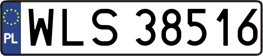 WLS38516