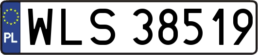 WLS38519