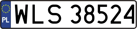 WLS38524