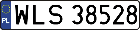 WLS38528