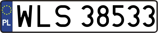 WLS38533