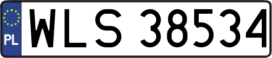 WLS38534