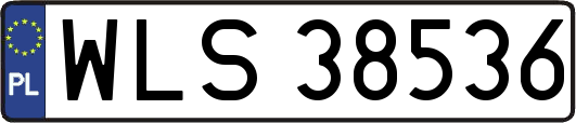 WLS38536