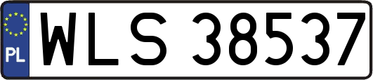 WLS38537