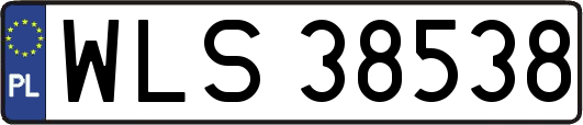 WLS38538
