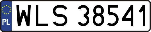 WLS38541