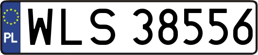 WLS38556