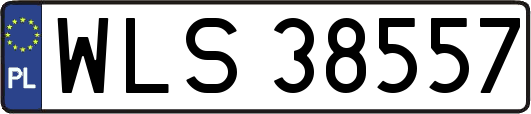 WLS38557