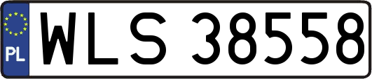WLS38558