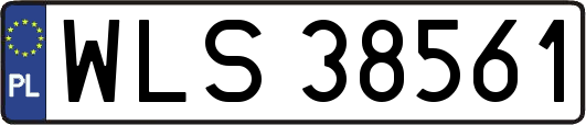 WLS38561