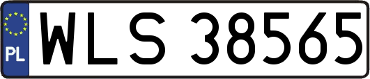 WLS38565