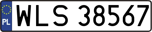 WLS38567