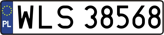 WLS38568