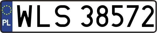 WLS38572