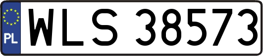 WLS38573