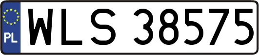 WLS38575