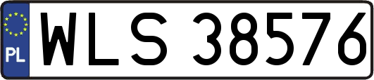 WLS38576