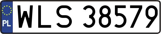 WLS38579