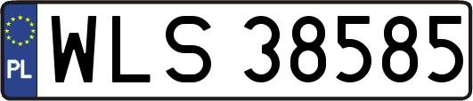WLS38585