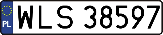 WLS38597