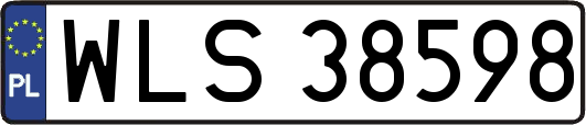 WLS38598