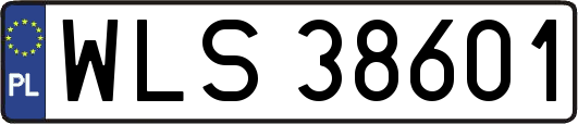 WLS38601