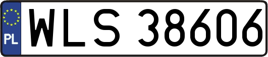 WLS38606