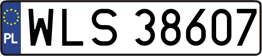 WLS38607